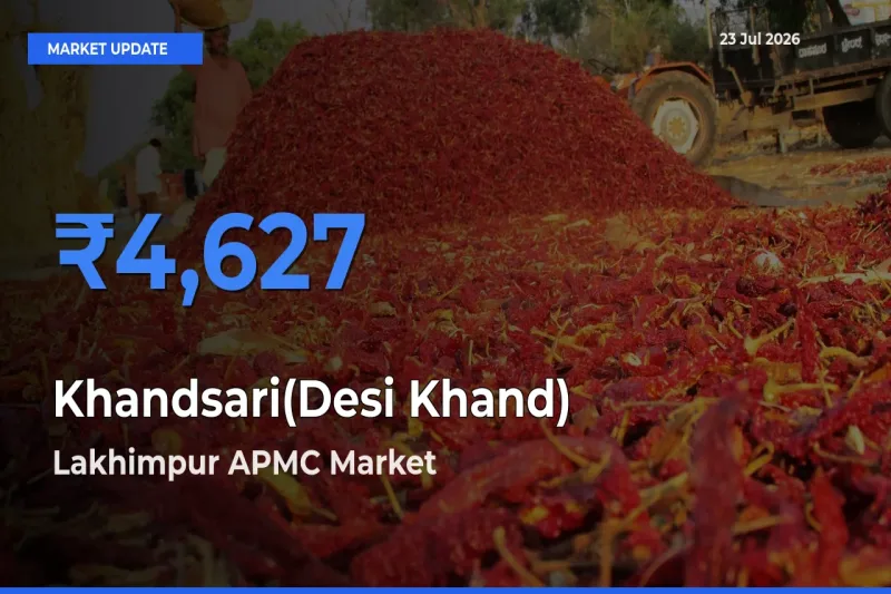 Lakhimpur APMC Tops Khandsari(Desi Khand) Rates – July 23 Market Update
