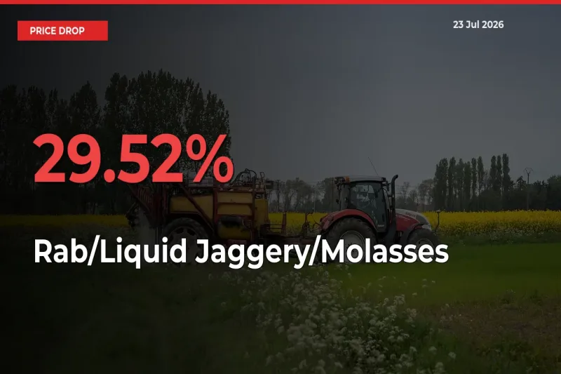 Rab/Liquid Jaggery/Molasses Prices Drop 29.52% – July 23 Market Update from Mandis