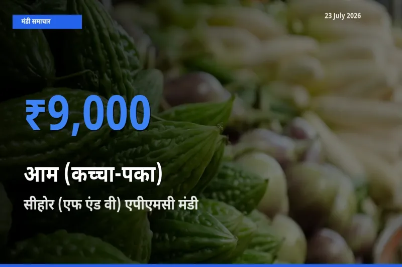 सीहोर (एफ एंड वी) एपीएमसी मंडी में आम (कच्चा-पका) ₹9,000 पर पहुँचा – आज का सर्वोच्च भाव