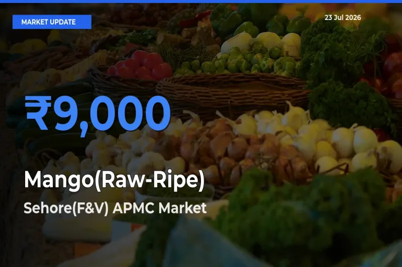 Sehore(F&V) APMC Records Highest ₹9,000 Rate for Mango(Raw-Ripe)