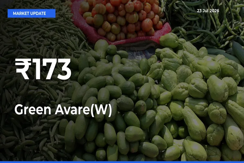 Green Avare(W) Prices Gain Momentum Across 173+ Mandis – Market Trend Strengthens