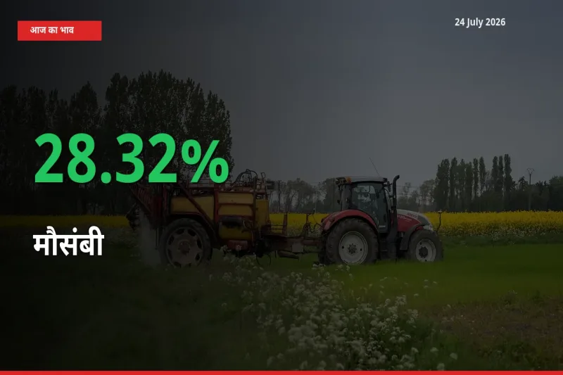 24 July अपडेट: मौसंबी के दाम मंडी में 28.32% उछले