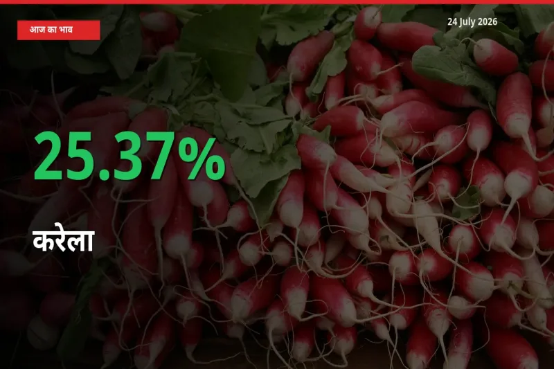 आज का मंडी भाव: करेला के दाम मंडी में 25.37% ऊपर