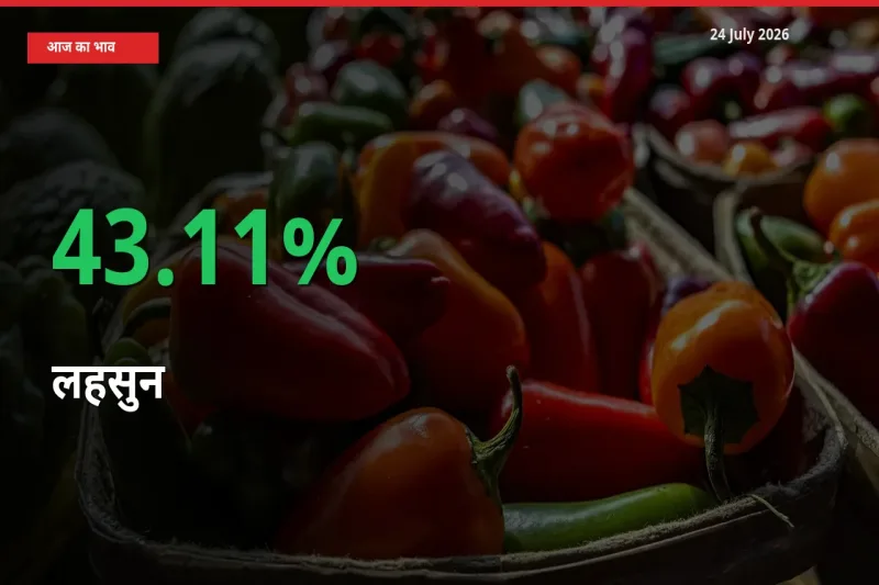 स्थानीय मंडी में लहसुन के दाम अचानक 43.11% उछले, किसान सतर्क