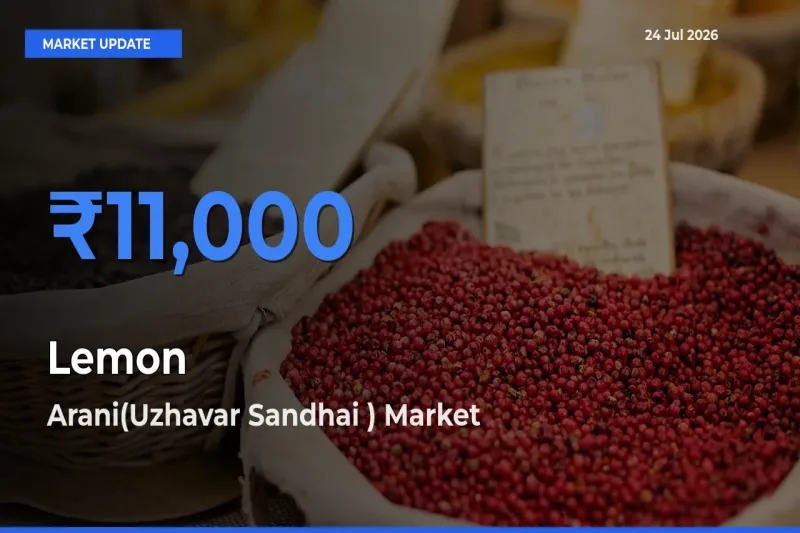 Arani(Uzhavar Sandhai ) Offers ₹11,000 – Highest Lemon Rate Today