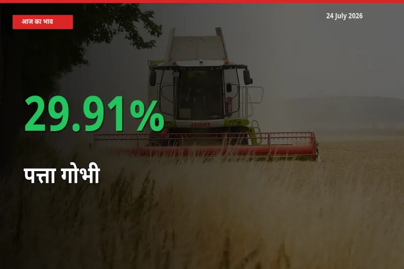 पत्ता गोभी के दाम प्रमुख मंडी में 29.91% बढ़े, 24 घंटे में बड़ा बदलाव