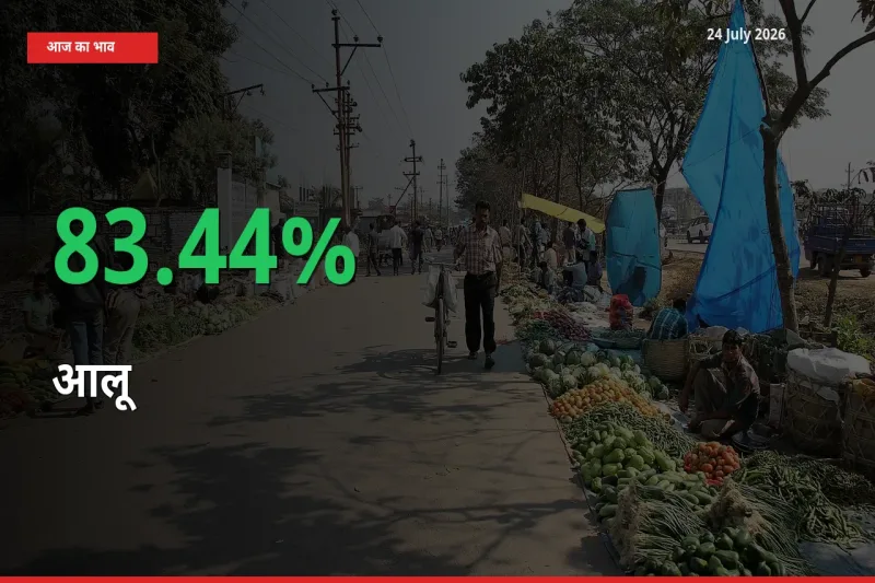 स्थानीय मंडी में आलू के दाम अचानक 83.44% उछले, किसान सतर्क