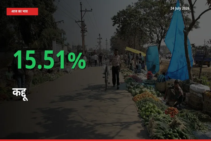 किसानों के लिए खुशखबरी! स्थानीय मंडी में कद्दू 15.51% उछला