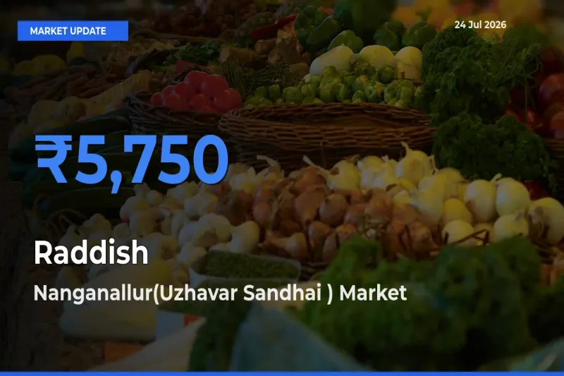 Nanganallur(Uzhavar Sandhai ) Offers ₹5,750 – Highest Raddish Rate Today