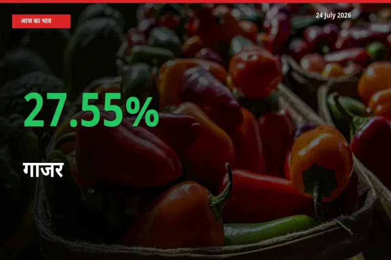 किसानों के लिए खुशखबरी! स्थानीय मंडी में गाजर 27.55% उछला