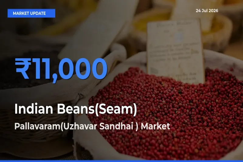 Farmers Prefer Pallavaram(Uzhavar Sandhai ) as Indian Beans(Seam) Hits Highest Rate