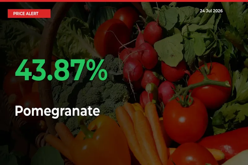 Pomegranate Mandi Rate Today: Prices Jump 43.87% at Market