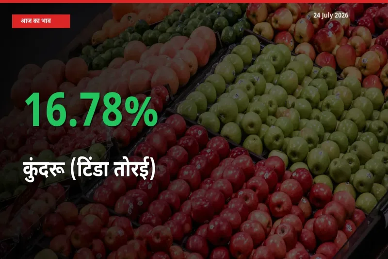 स्थानीय मंडी में कुंदरू (टिंडा तोरई) के दाम अचानक 16.78% उछले, किसान सतर्क