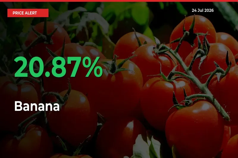 Why Banana Prices Rose 20.87% in a Day at Mandis