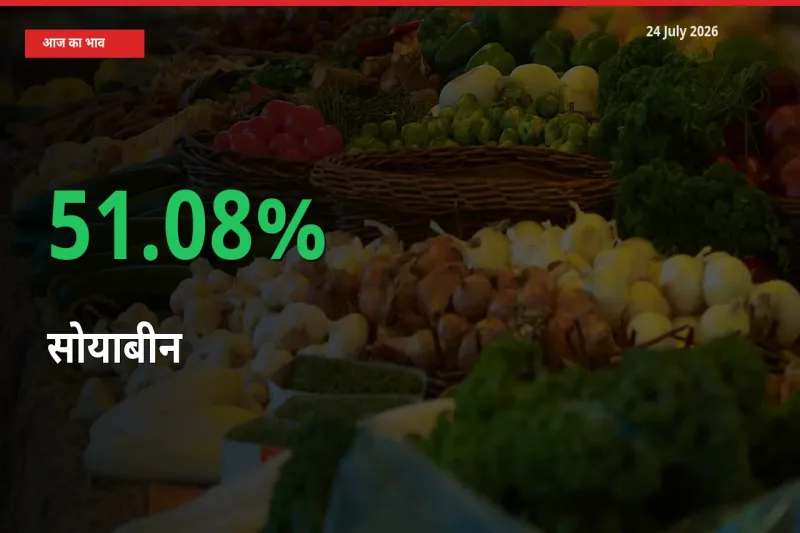 अचानक तेजी! मंडी में सोयाबीन के दाम 51.08% चढ़े