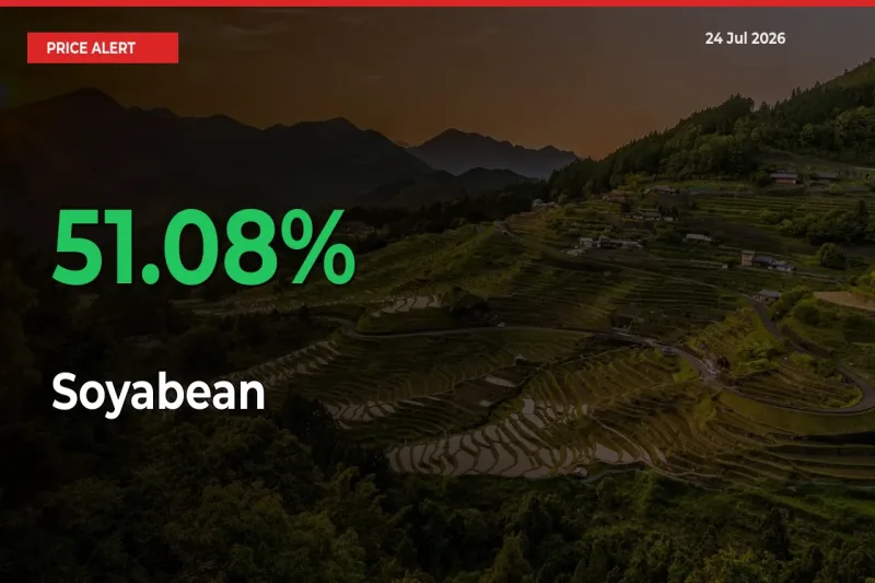 51.08% Spike in Soyabean Prices – Mandi Sees Sudden Rally