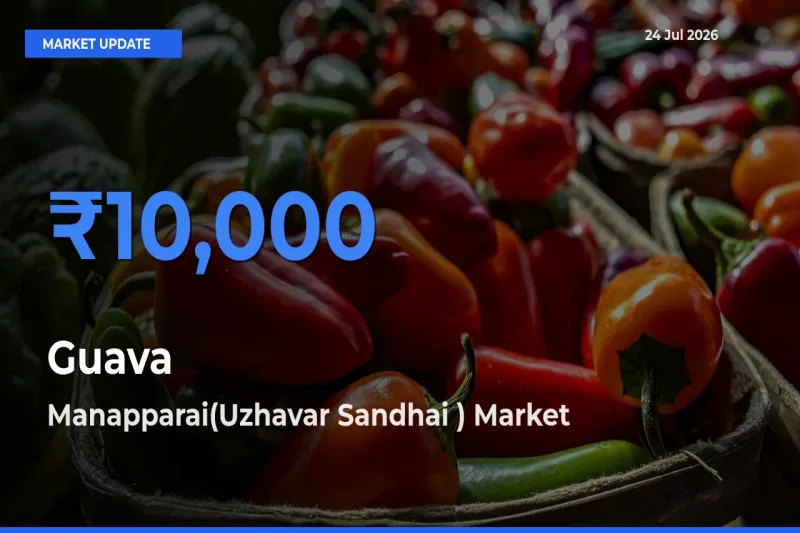 Manapparai(Uzhavar Sandhai ) Leads as Top Mandi for Guava Prices