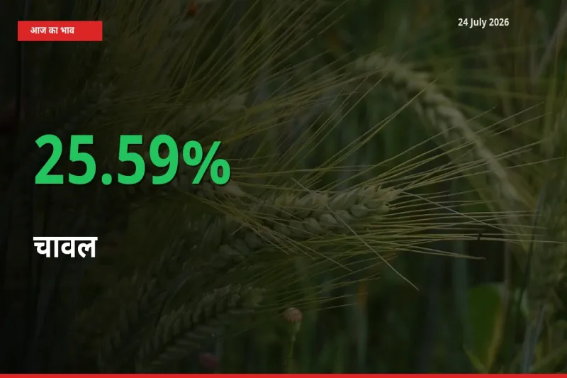 अचानक तेजी! मंडी में चावल के दाम 25.59% चढ़े
