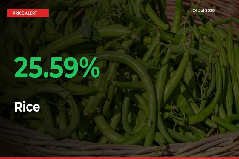 Rice Mandi Rate Today: Prices Jump 25.59% at Market