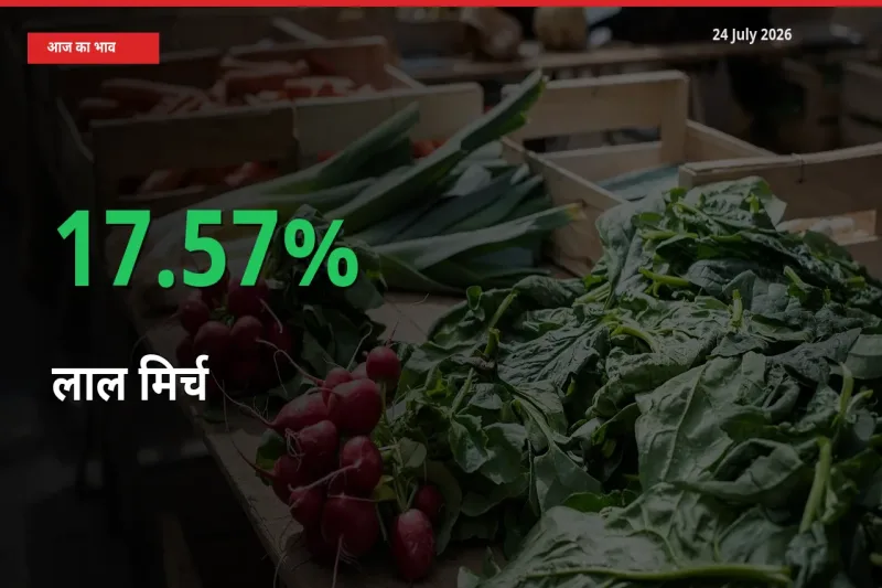 आज का मंडी भाव: लाल मिर्च के दाम मंडी में 17.57% ऊपर