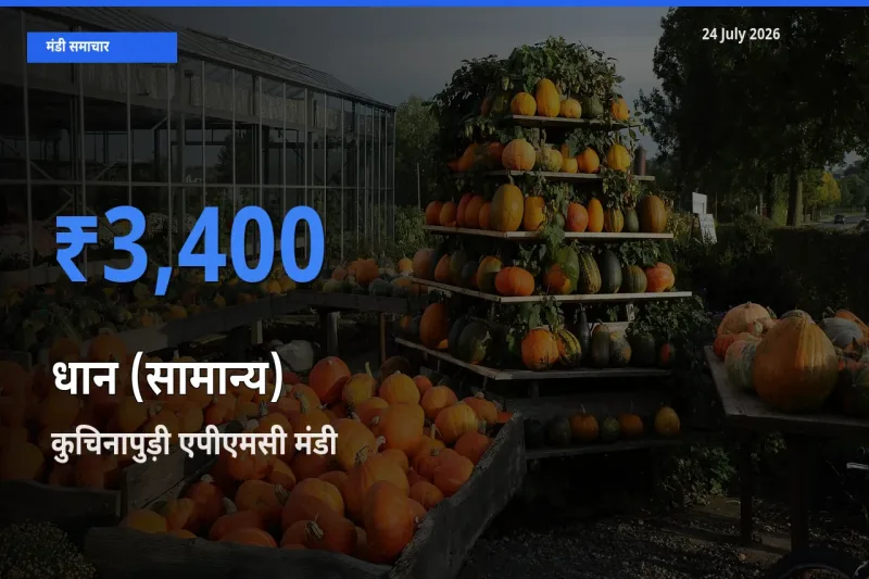 कुचिनापुड़ी एपीएमसी मंडी में धान (सामान्य) ₹3,400 पर पहुँचा – आज का सर्वोच्च भाव