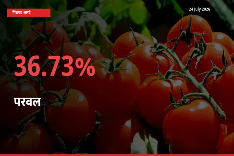 बाज़ार संकेत: परवल के भाव मंडी में 36.73% नीचे