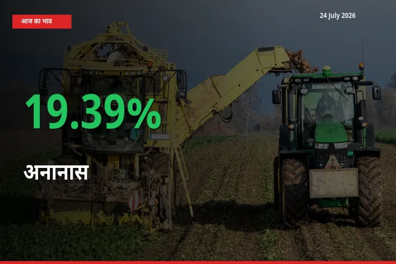 अचानक तेजी! मंडी में अनानास के दाम 19.39% चढ़े
