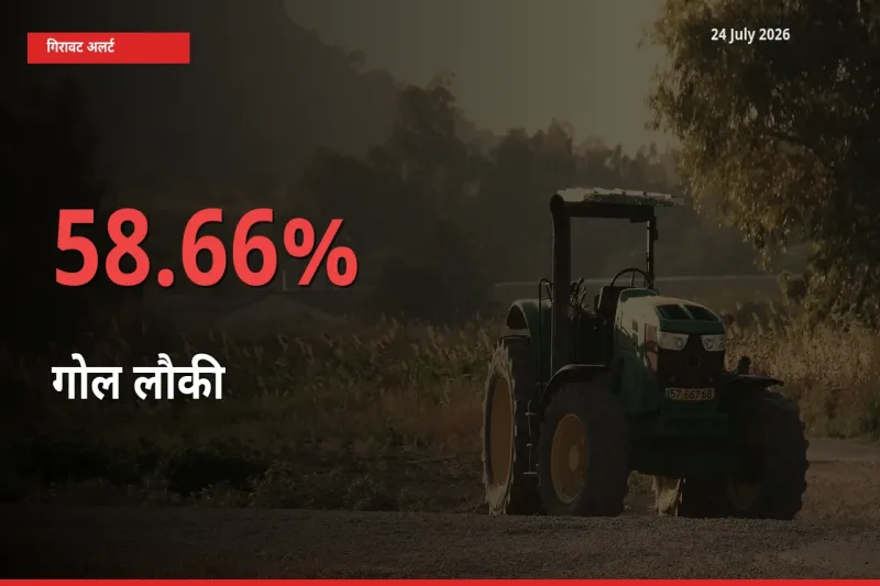 अचानक झटका! मंडी में गोल लौकी के दाम 58.66% टूटे