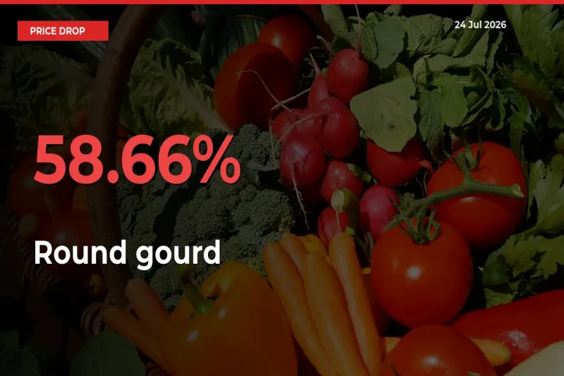 Sharp Fall! Round gourd Prices Plunge 58.66% in a Day at Key Mandis