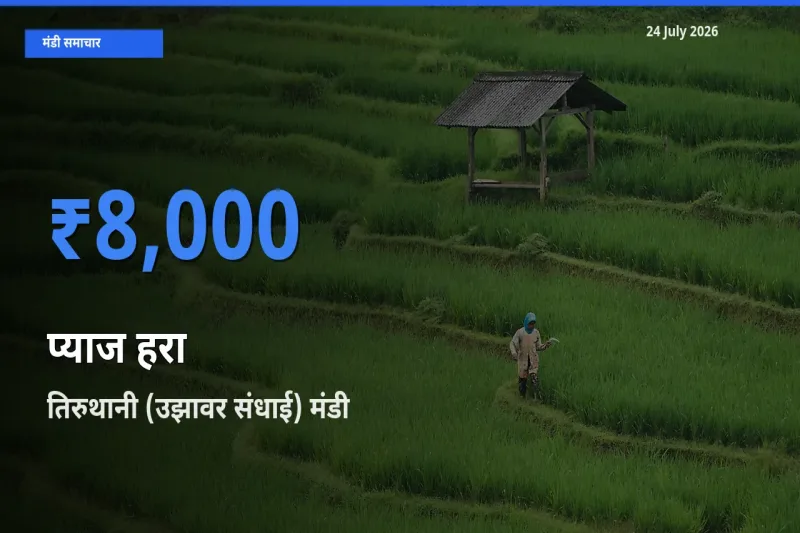 किसानों की पसंद बना तिरुथानी (उझावर संधाई), प्याज हरा के सबसे अच्छे दाम