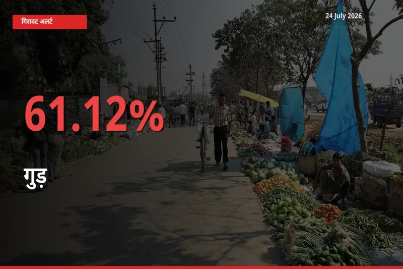 24 July अपडेट: गुड़ के दाम मंडी में 61.12% गिरे