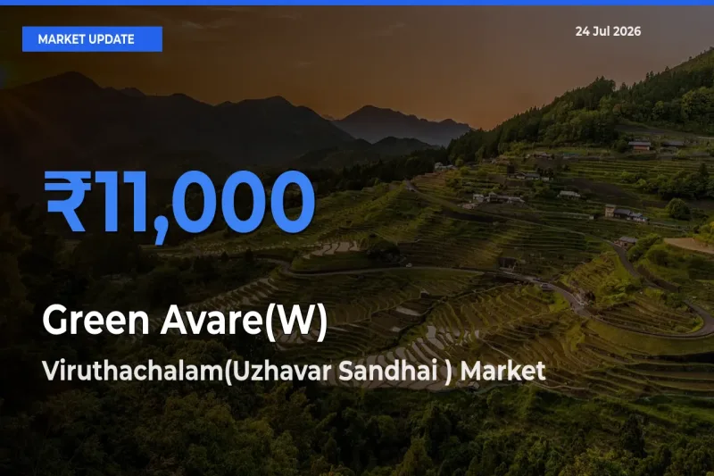 Viruthachalam(Uzhavar Sandhai ) Tops Green Avare(W) Rates – July 24 Market Update