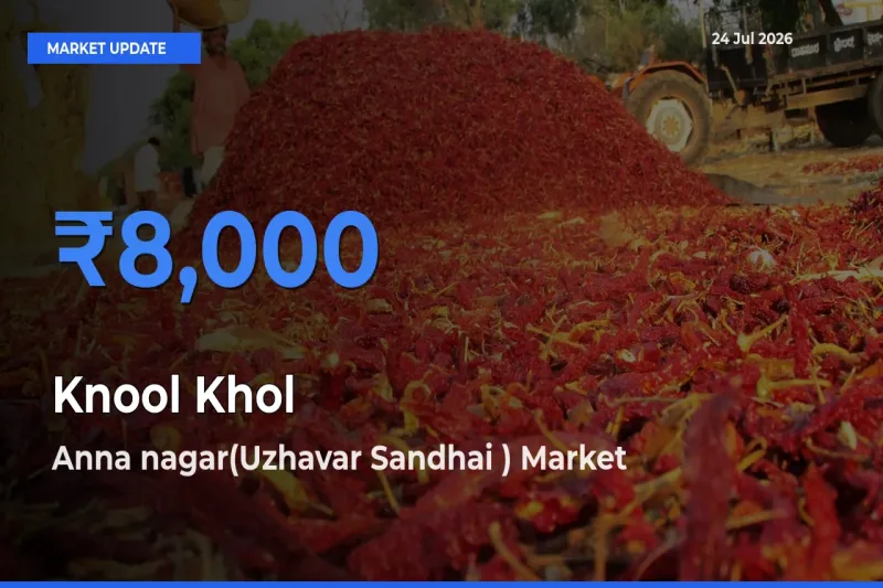 Anna nagar(Uzhavar Sandhai ) Offers ₹8,000 – Highest Knool Khol Rate Today
