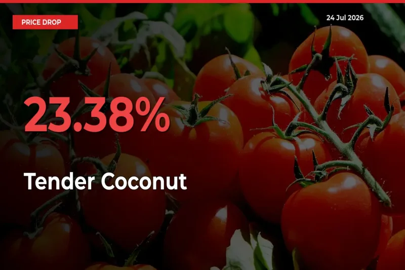 Why Tender Coconut Prices Fell 23.38% in a Day at Mandis