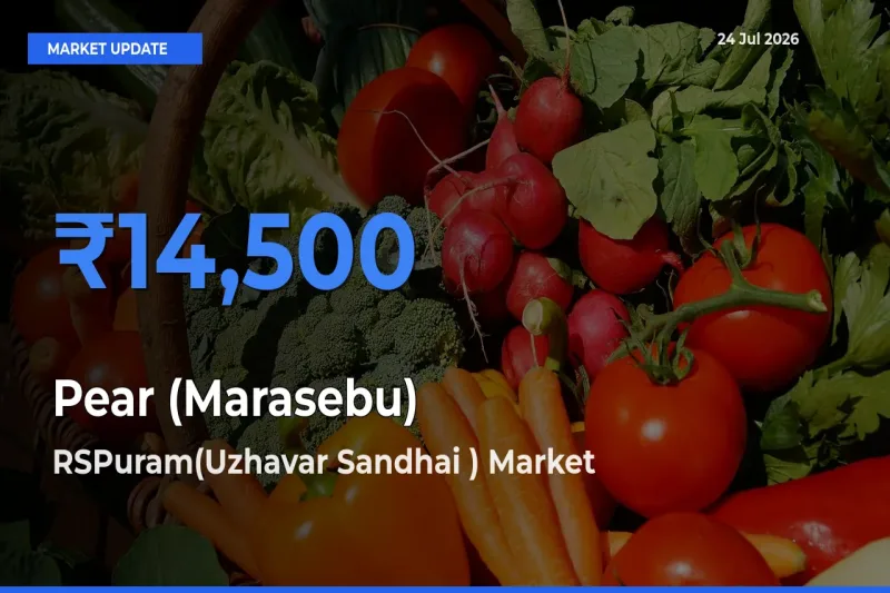 RSPuram(Uzhavar Sandhai ) Emerges as Top Mandi for Pear (Marasebu) Prices Today