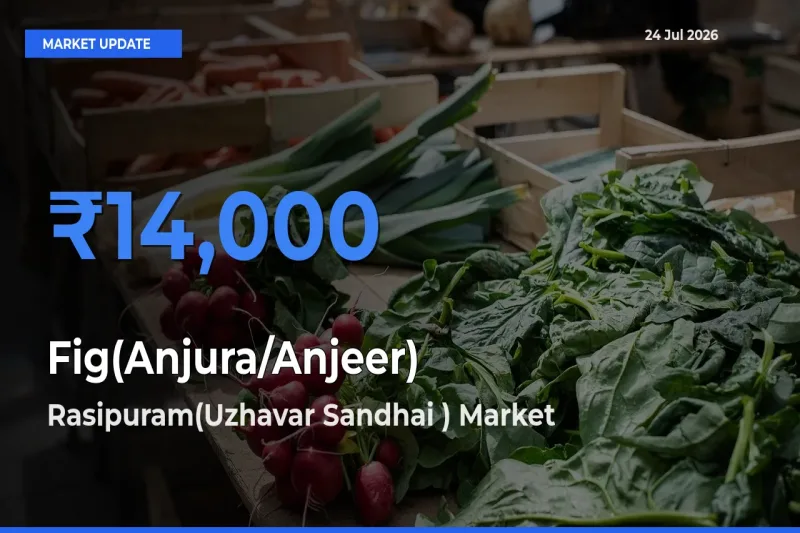 Fig(Anjura/Anjeer) Mandi Rate Today: Rasipuram(Uzhavar Sandhai ) Tops the List