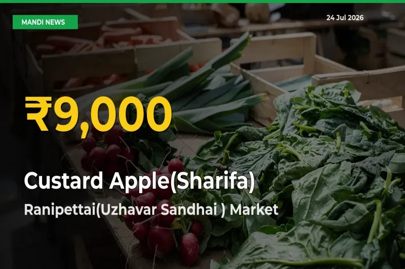 Fresh Record! Custard Apple(Sharifa) Price Climbs to New High in Ranipettai(Uzhavar Sandhai )