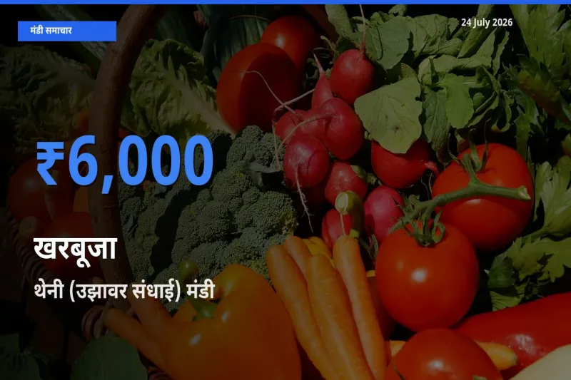 आज का मंडी भाव: खरबूजा के सबसे ज़्यादा दाम थेनी (उझावर संधाई) में