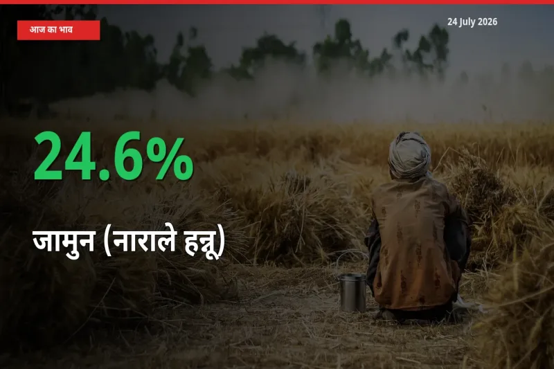 किसानों के लिए खुशखबरी! स्थानीय मंडी में जामुन (नाराले हन्नू) 24.6% उछला