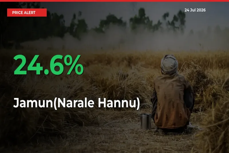 Sudden 24.6% Rally in Jamun(Narale Hannu) Prices Across Mandis
