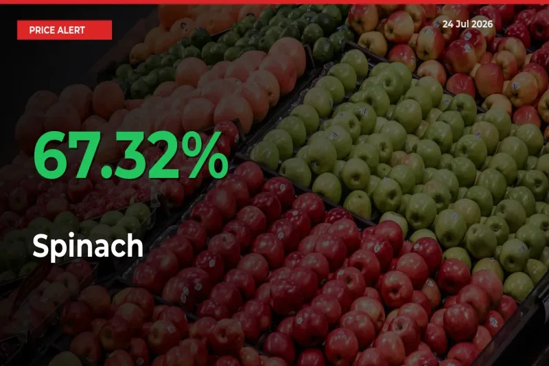 Spinach Mandi Rate Today: Prices Jump 67.32% at Market