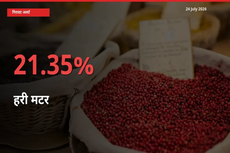 हरी मटर 21.35% गिरा, मंडी
