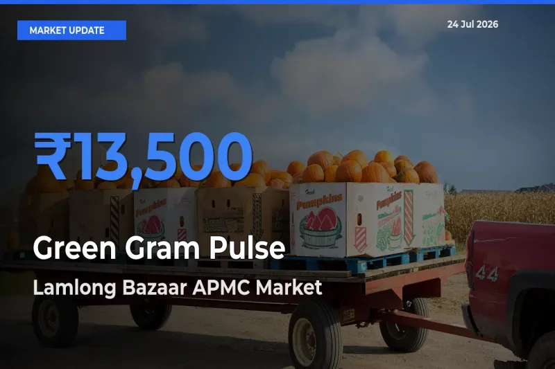 Lamlong Bazaar APMC Records Highest ₹13,500 Rate for Green Gram Pulse