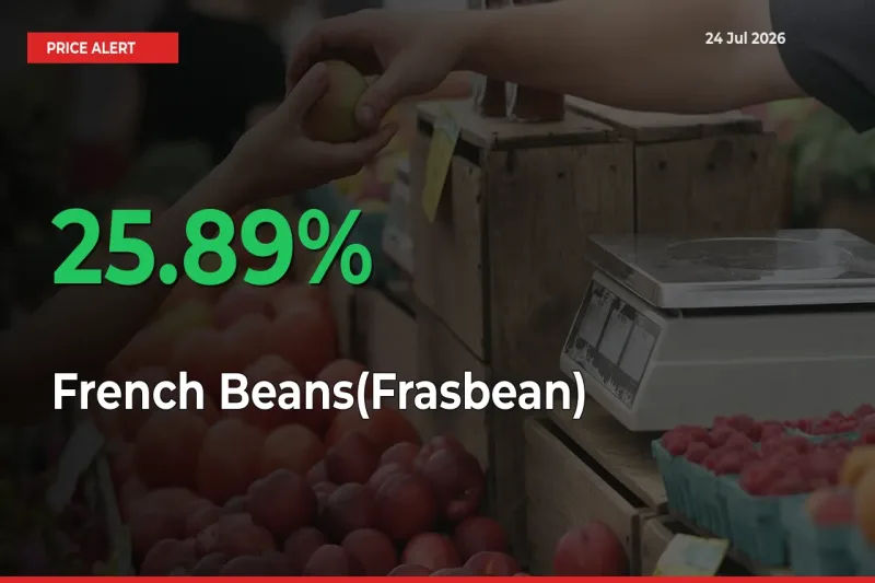 Sharp Jump! French Beans(Frasbean) Prices Climb 25.89% in 24 Hours at Key Mandis