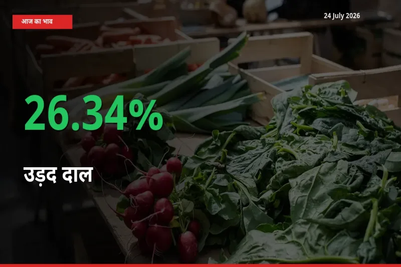 स्थानीय मंडी में उड़द दाल के दाम अचानक 26.34% उछले, किसान सतर्क