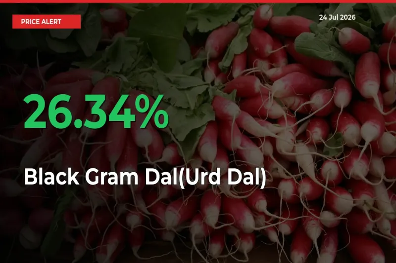 Sudden 26.34% Rally in Black Gram Dal(Urd Dal) Prices Across Mandis