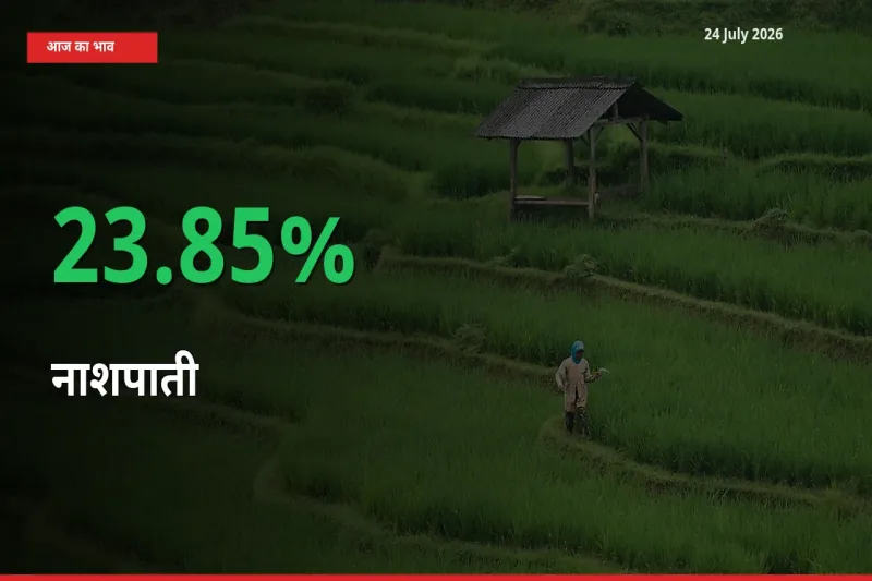 स्थानीय मंडी में नाशपाती के दाम अचानक 23.85% उछले, किसान सतर्क
