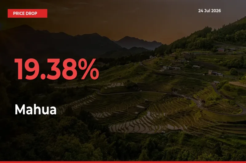 Sudden Shock! Mahua Drops 19.38% in 24 Hours at Top Mandis