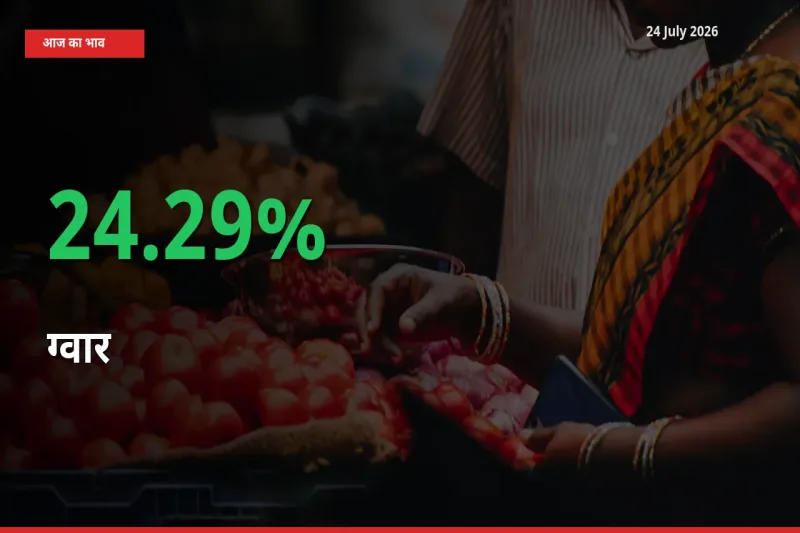 किसानों के लिए खुशखबरी! स्थानीय मंडी में ग्वार 24.29% उछला