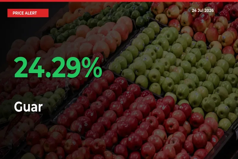 Guar Rises 24.29% at Mandis